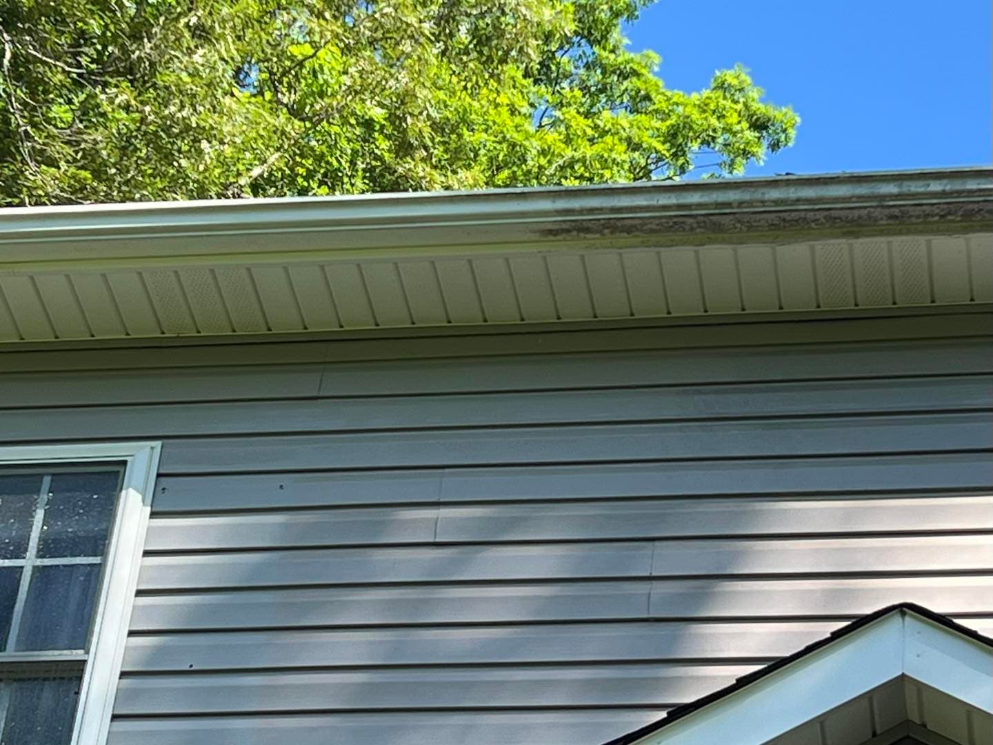 Gutter Cleaning